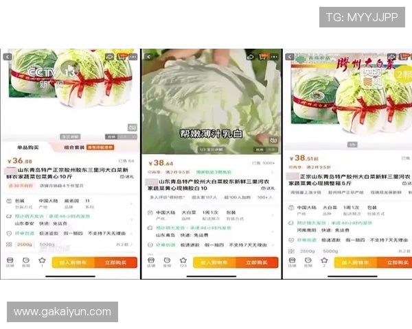 2025年最新白菜网站推荐，超值优惠不容错过！