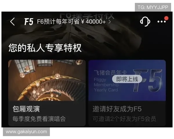 探索白金会F6：解密高端社交平台的魅力与价值