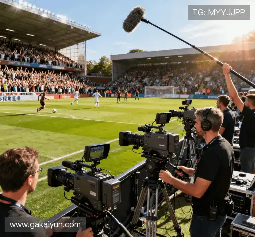 我们的风险管理